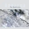 Tal Babitzky - Horizon